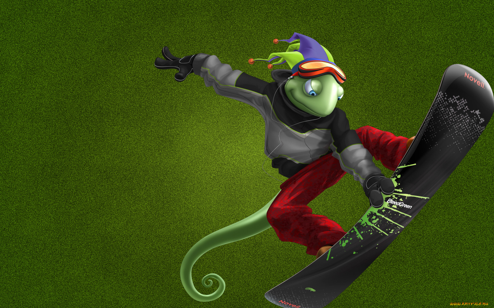 , 3, , animals, , chameleon, , , 
